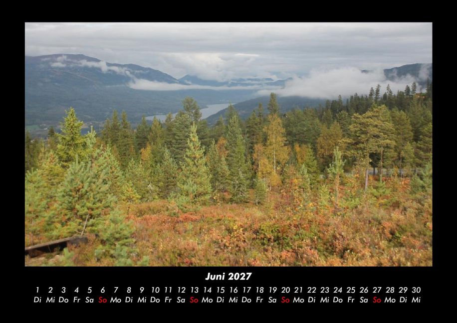 InsideView 10
