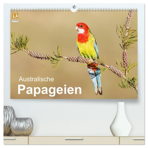 Australische Papageien (hochwertiger Premium Wandkalender 2025 DIN A2 quer), Kunstdruck in Hochglanz - Bia Birdimagency