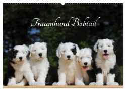 Cover-Bild zum Titel 'Traumhund Bobtail (Wandkalender 2026 DIN A2 quer), CALVENDO Monatskalender' von 'Sigrid Starick'