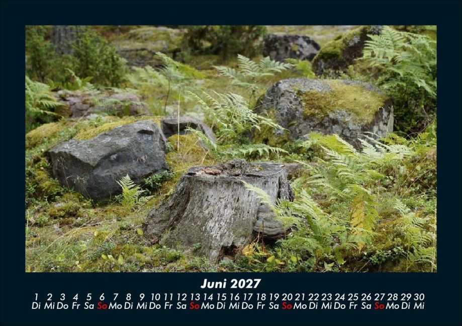 InsideView 10
