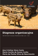 Cover-Bild zum Titel 'Diagnoza organizacyjna' von 'Ana Cristina Viera Costa, Maria Cecilia de Sousa Cunha, Maria Da Penha Silva Do Nascimento'