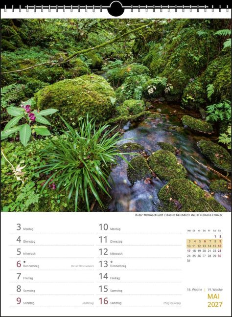 InsideView 10