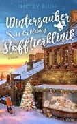 Cover-Bild zum Titel 'Winterzauber in der kleinen Stofftierklinik' von 'Molly Blum'