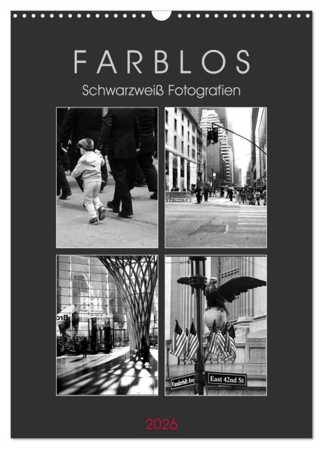 F A R B L O S - Schwarzweiß Fotografien (Wandkalender 2026 DIN A3 hoch), CALVENDO Monatskalender - Helene Seidl