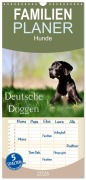 Familienplaner 2026 - Deutsche Doggen / Geburtstagskalender mit 5 Spalten (Wandkalender, 21 x 45 cm) CALVENDO - Nicole Noack