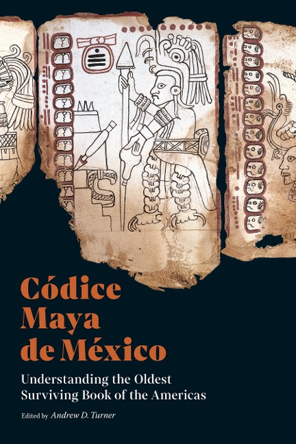 Codice Maya de Mexico - 