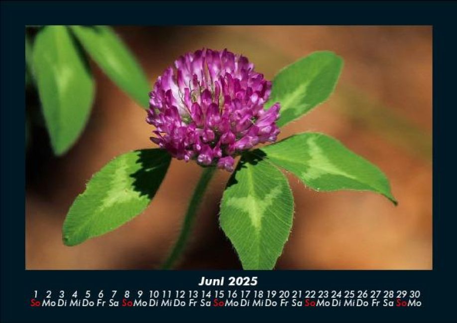 InsideView 10
