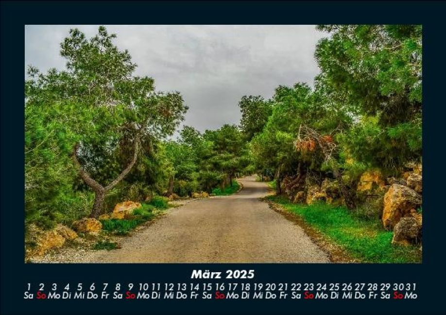 InsideView 7