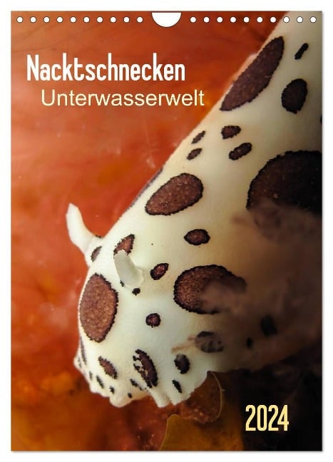 Nacktschnecken - Unterwasserwelt 2024 (Wandkalender 2024 DIN A4 hoch), CALVENDO Monatskalender - Claudia Weber-Gebert