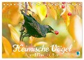 Amsel, Fink und Star: Heimische Vögel (Tischkalender 2025 DIN A5 quer), CALVENDO Monatskalender - Calvendo Calvendo