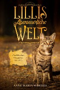 Cover-Bild zum Titel 'Lillis abenteuerliche Welt' von 'Anne Maria Wimmer'