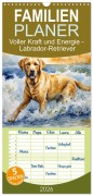 Familienplaner 2026 - Voller Kraft und Energie - Labrador-Retriever mit 5 Spalten (Wandkalender, 21 x 45 cm) CALVENDO - Claudia Kleemann