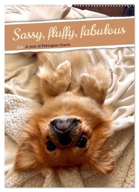 Sassy, fluffy, fabulous - A year of Pekingese charm (Wall Calendar 2026 DIN A2 portrait), CALVENDO 12 Month Wall Calendar - Claudia Schimmack
