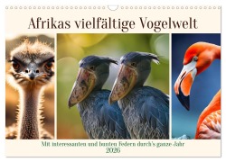 Cover-Bild zum Titel 'Afrikas vielfältige Vogelwelt (Wandkalender 2026 DIN A3 quer), CALVENDO Monatskalender' von 'Claudia Kleemann'