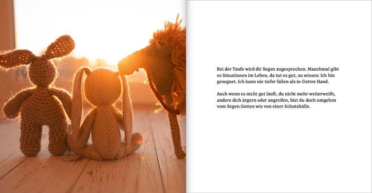 InsideView 10