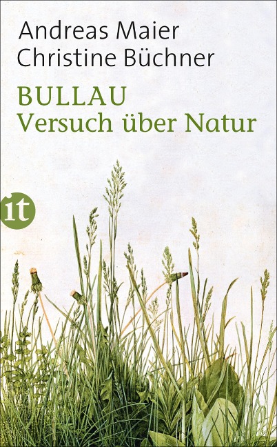 Bullau - Andreas Maier, Christine Büchner