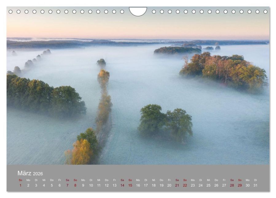 InsideView 8