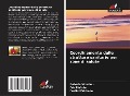 Cover-Bild zum Titel 'Coordinamento delle strutture sanitarie per zone di salute' von 'Bebeda Mbaninu, Eric Mafuta, Paulin Mutombo'
