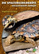 Cover-Bild zum Titel 'Die Spaltenschildkröte' von 'Manfred Rogner'