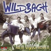 Auf M Gipfel Herob N - Wildbach