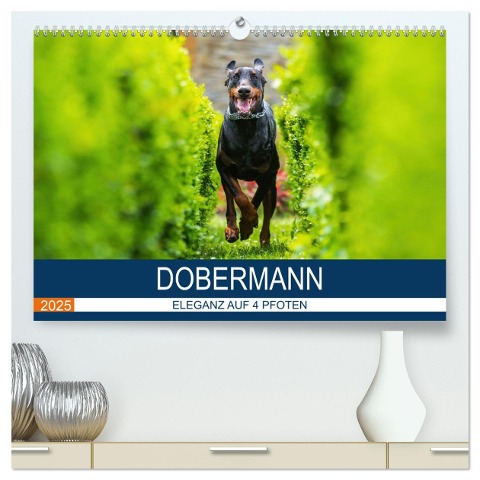 Dobermann 2025 (hochwertiger Premium Wandkalender 2025 DIN A2 quer), Kunstdruck in Hochglanz - Annett Mirsberger