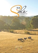 Cover-Bild zum Titel 'Subsole' von 'Baldomero Lillo'