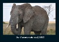 Der Elefantenkalender 2023 Fotokalender DIN A4 - Tobias Becker