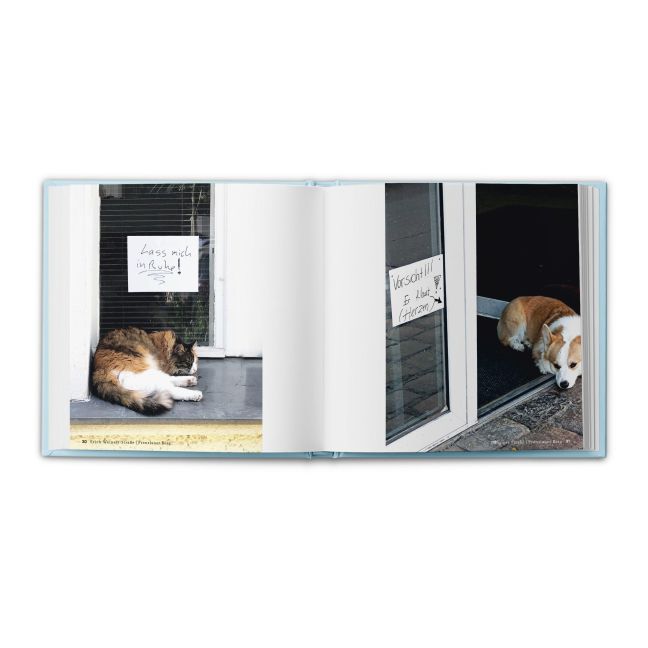 InsideView 5