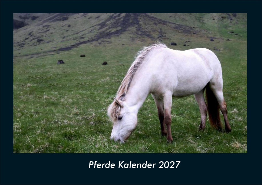 Pferde Kalender 2027 Fotokalender DIN A4 - Tobias Schmitt, Kevin Heber