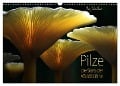 Pilze - die Stars der Waldbühne (Wandkalender 2024 DIN A3 quer), CALVENDO Monatskalender - Heinz Schmidbauer