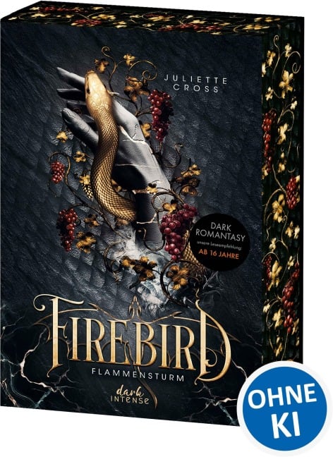Flammensturm (Band 1) - Firebird - Juliette Cross