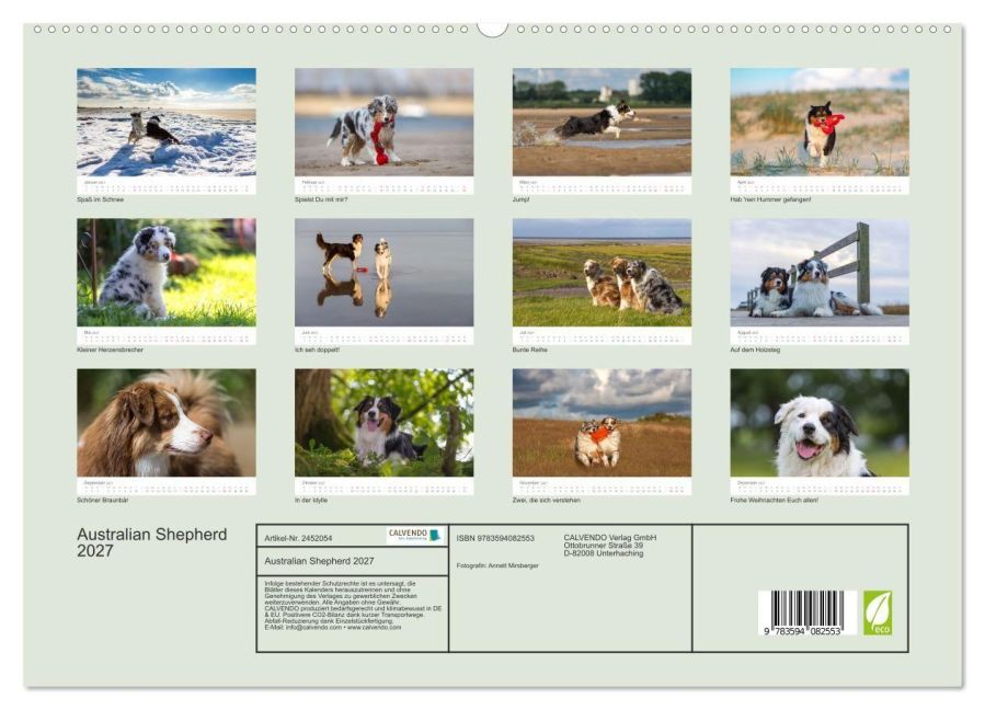 InsideView 4
