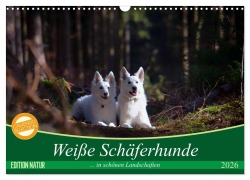 Cover-Bild zum Titel 'Weiße Schäferhunde in schönen Landschaften (Wandkalender 2026 DIN A3 quer), CALVENDO Monatskalender' von 'Martina Schikore'