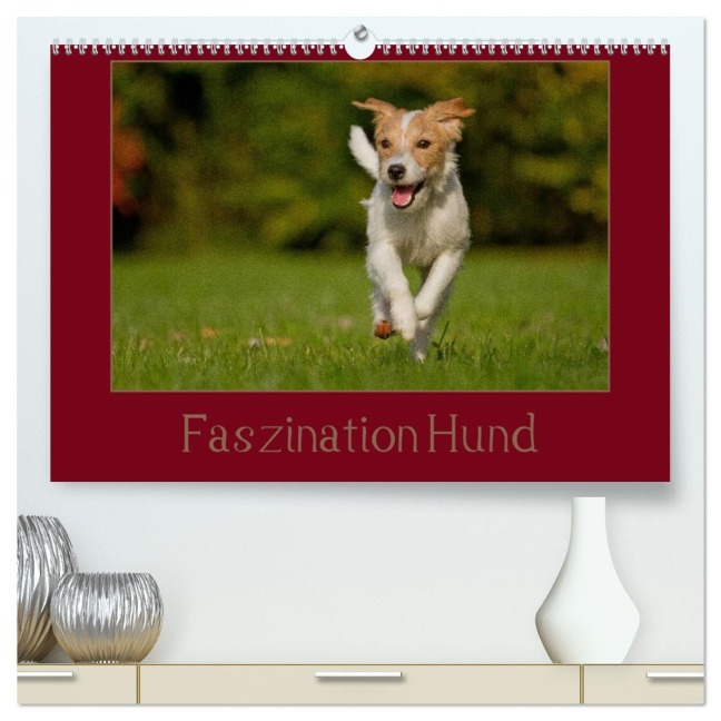 Faszination Hund (hochwertiger Premium Wandkalender 2026 DIN A2 quer), Kunstdruck in Hochglanz - Tierfotografie Bischof Bischof