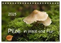 Pilze in Wald und Flur (Tischkalender 2025 DIN A5 quer), CALVENDO Monatskalender - Heinz Pompsch