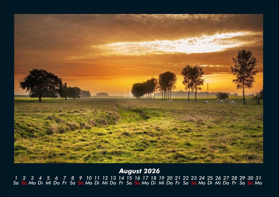InsideView 12