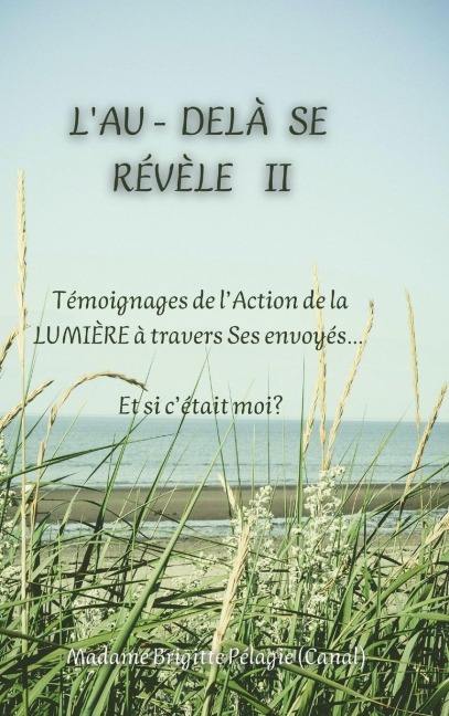 L'AU-DELÀ SE RÉVÈLE II (couverture rigide) - Madame Brigitte Pélagie
