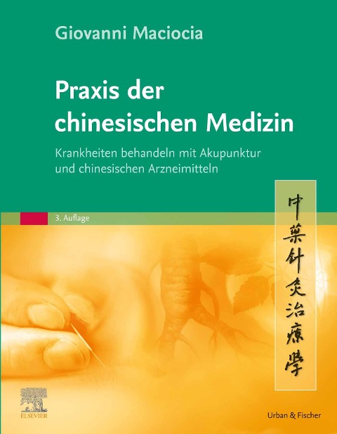 Praxis der chinesischen Medizin - Giovanni Maciocia