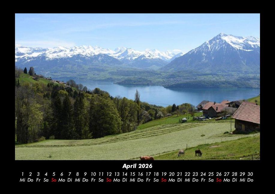 InsideView 8