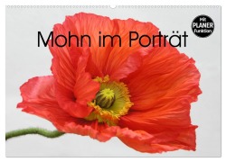 Cover-Bild zum Titel 'Mohn im Porträt (Wandkalender 2026 DIN A2 quer), CALVENDO Monatskalender' von 'Gisela Kruse'