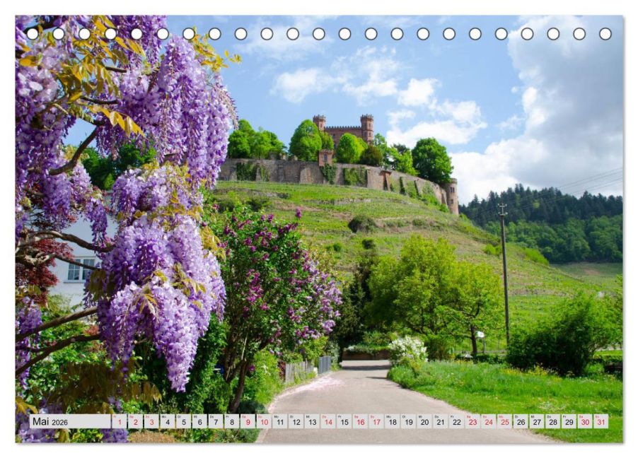 InsideView 10