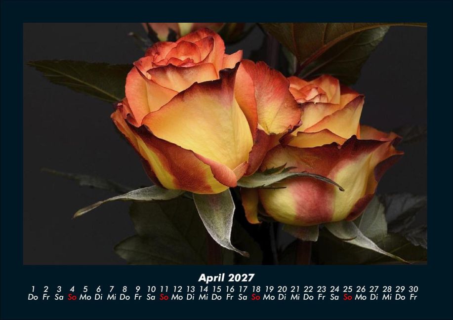 InsideView 8