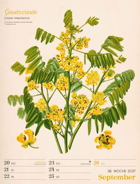 InsideView 42