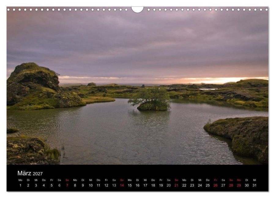 InsideView 8