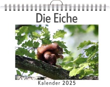 Cover-Bild zum Titel 'Die Eiche' von 'Anton Meier'