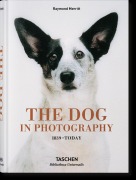 Cover-Bild zum Titel 'The Dog in Photography 1839-Today' von 'Raymond Merritt'
