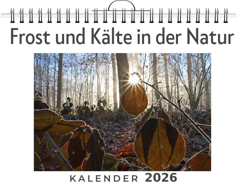 Frost und Kälte in der Natur - Sophia Wolf Frost und Kälte in der Natur - Sophia Wolf