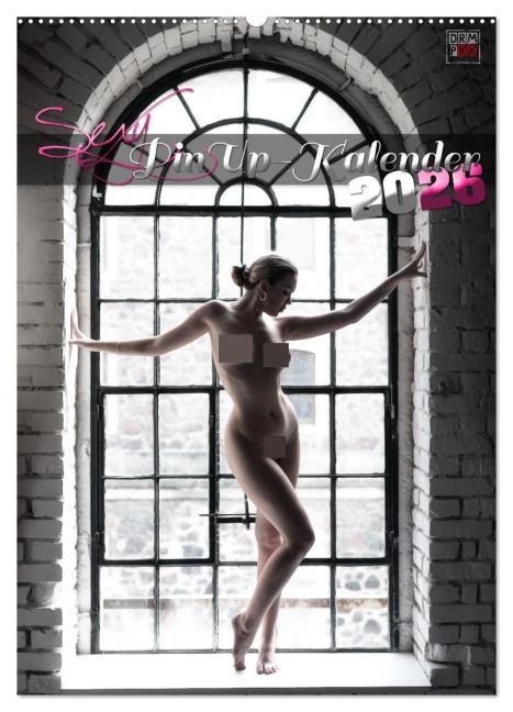 Sexy PinUp-Kalender 2026 (Wandkalender 2026 DIN A2 hoch), CALVENDO Monatskalender - Dreampixx Dreampixx