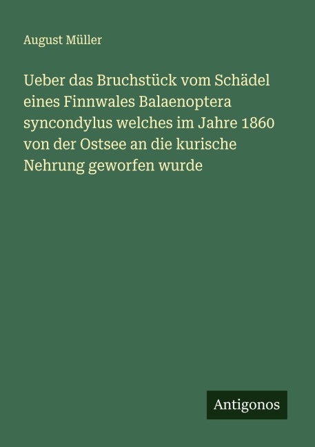Ueber das Bruchstück vom Schädel eines Finnwales Balaenoptera syncondylus welches im Jahre 1860 von der Ostsee an die kurische Nehrung geworfen wurde - August Müller