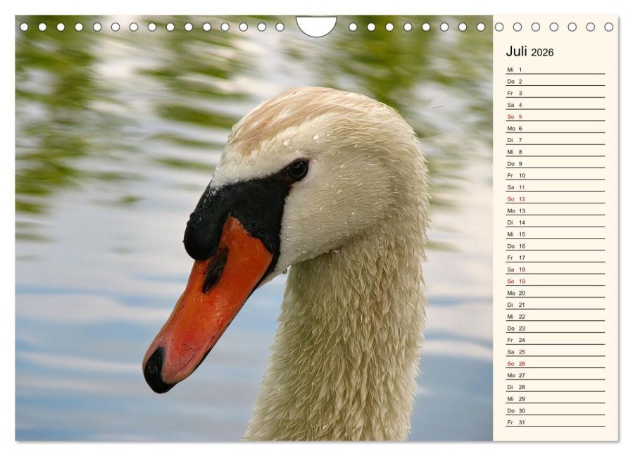 InsideView 12